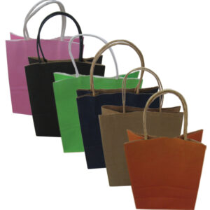 Χάρτινη τσάντα-σακούλα δώρου 21x15cm [11401208] - 12 τεμ.