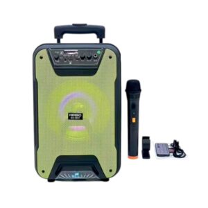 Φορητό ηχείο subwoofer με μικρόφωνο Karaoke - QS-5807 - 813072 - Green